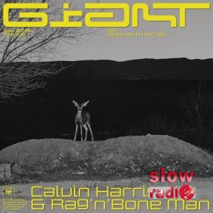 Calvin Harris & Rag n Bone Man - Giant